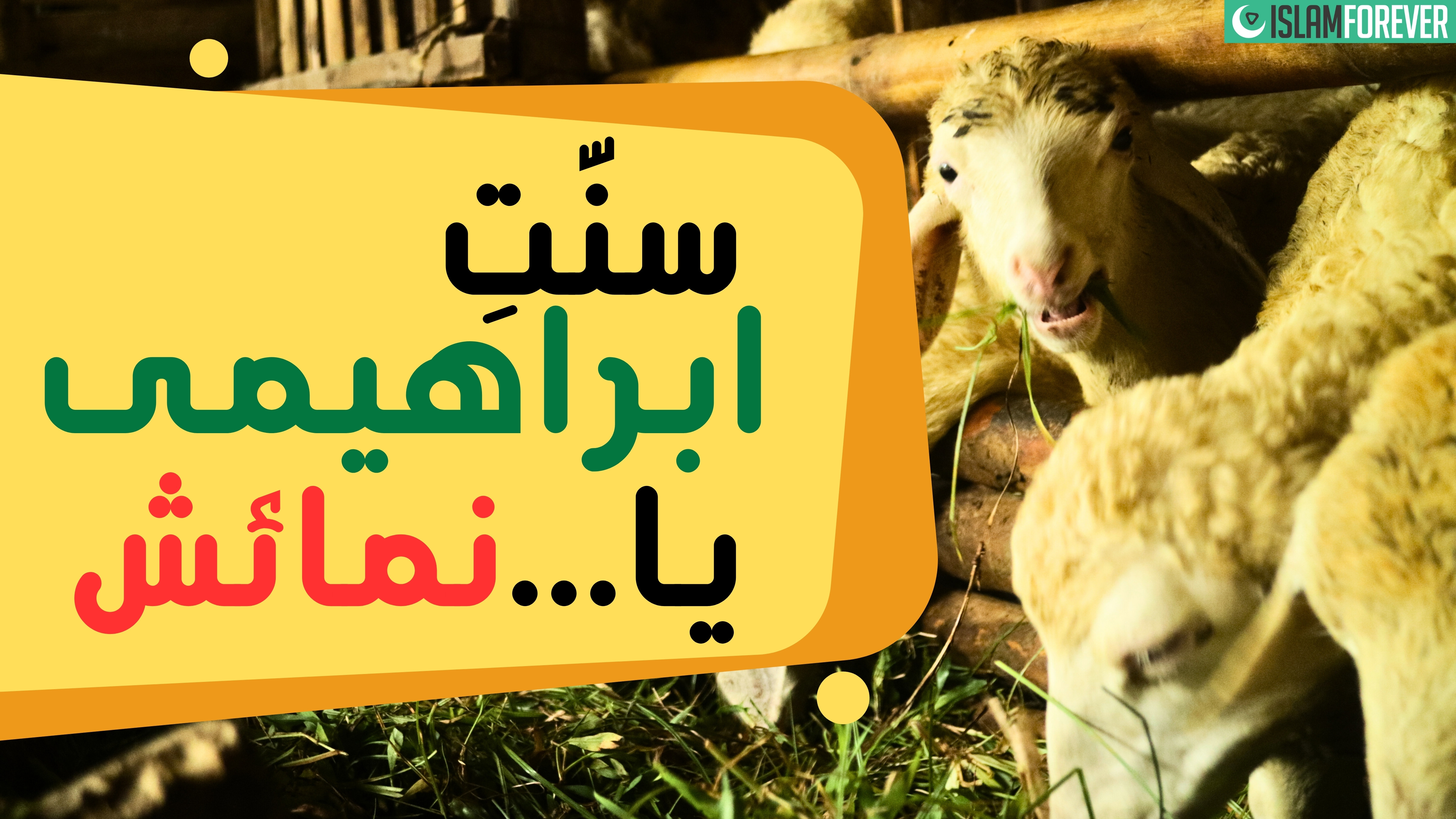 Sunnat-e-Ibrahimi Ya Numaish? | Qurbani Message | Dawat-e-Islami